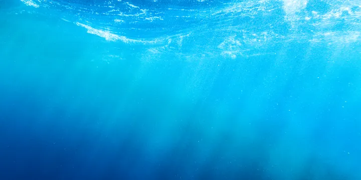 A view under the sea.