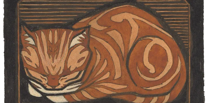 An illustration of an orange cat curled up and sleeping